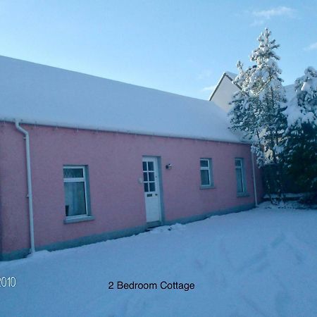 Hallmount Cottage - Belfast Extérieur photo