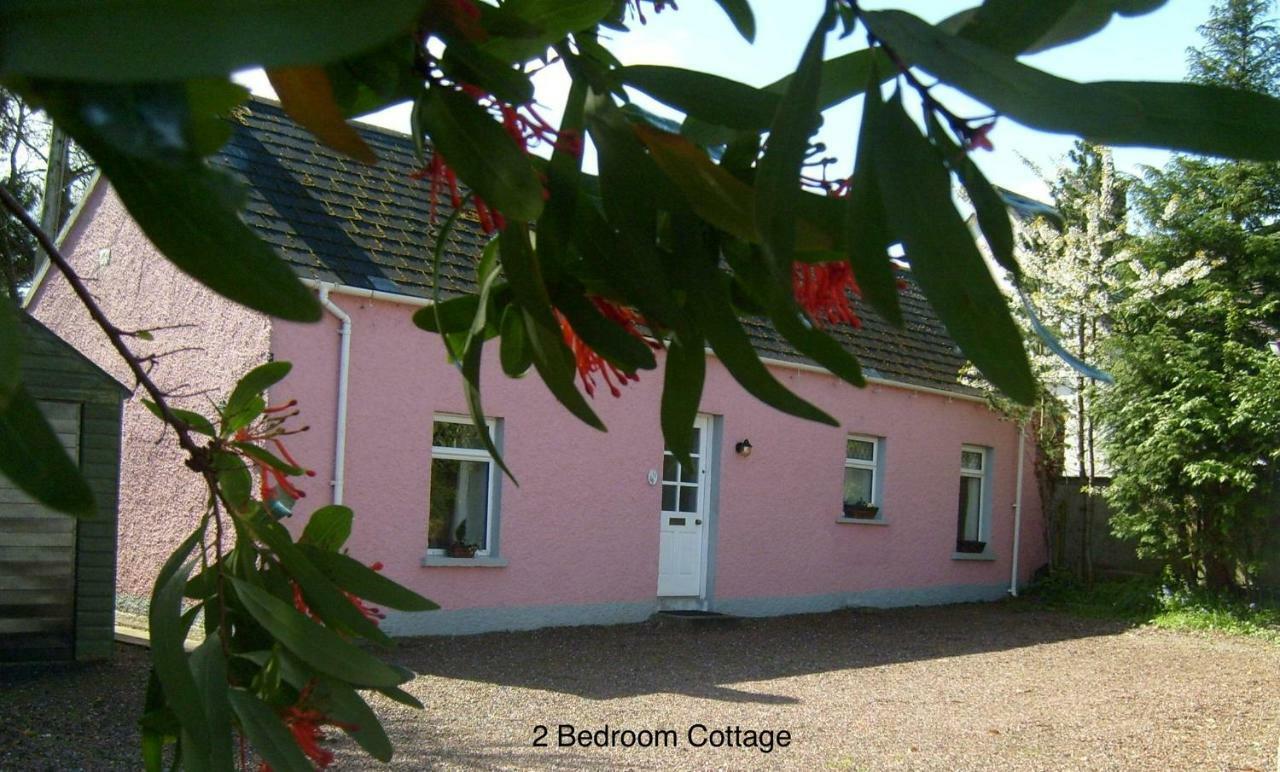 Hallmount Cottage - Belfast Extérieur photo